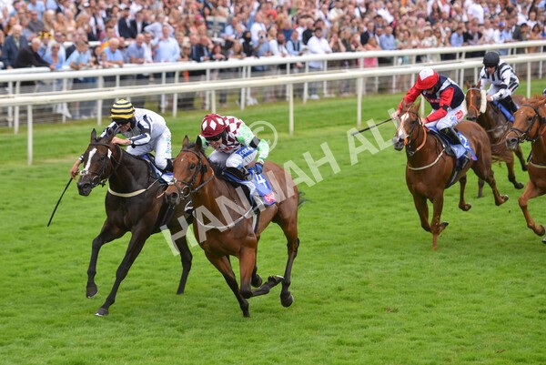 yr24072021r1-87 - Race 1 2.05pm Sky Bet Jump Jockeys Nunthorpe