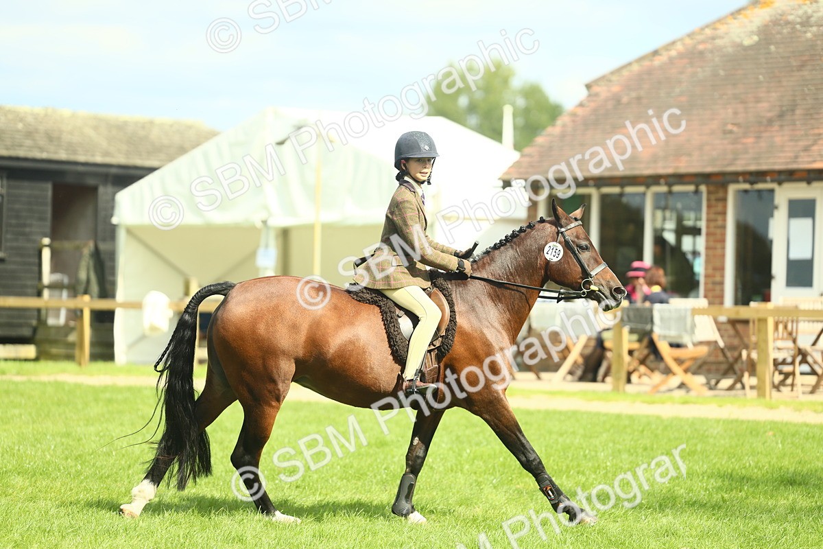 SBM_44581 - S31 - Working Hunter Pony