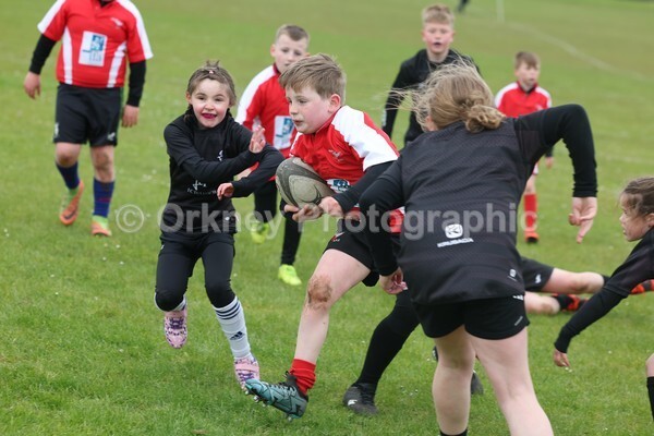 DAD22379 - Rookies/Mini Rugby on 7s Day