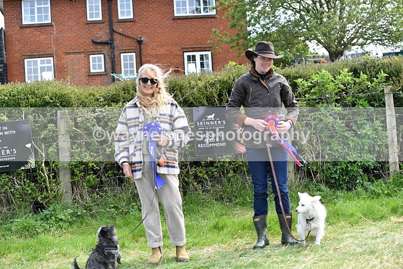 WJ5_0841 - Best in Show Championship