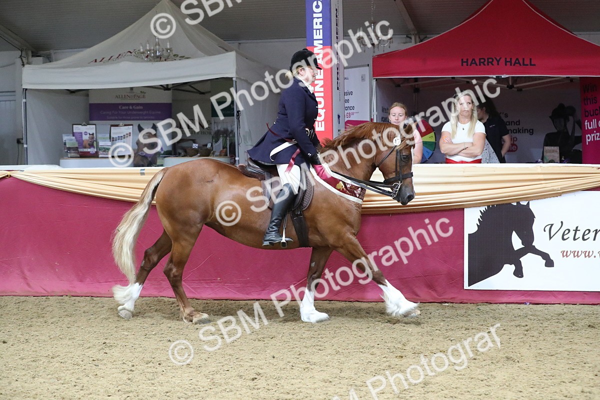 SBM_16548 - Class 502 M&M Ridden Supreme Final