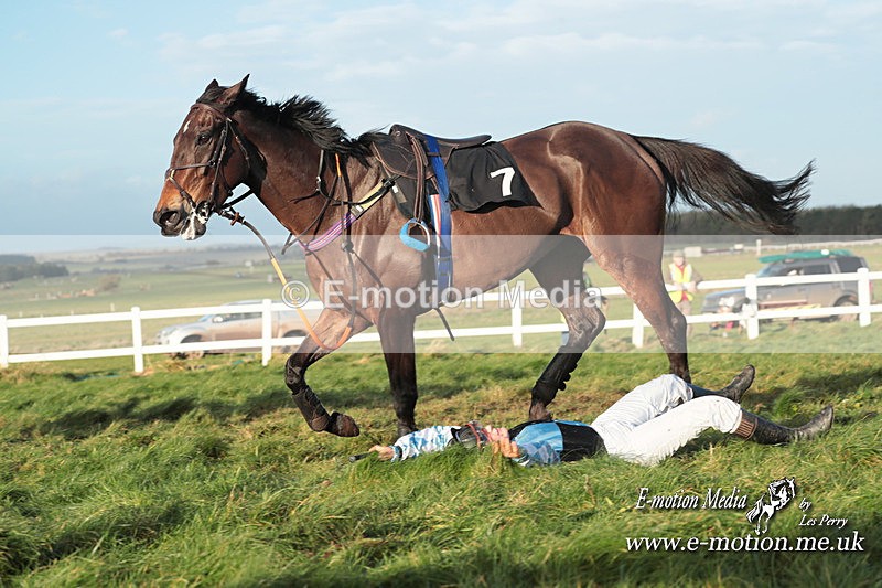 PtP 101223 1152 - New Forest Hounds PtP Larkhill 10/12/23