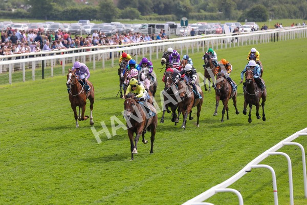 170524-Race 2-Botanical-2150 - Race 2 2.45pm Knights Solicitors Handicap