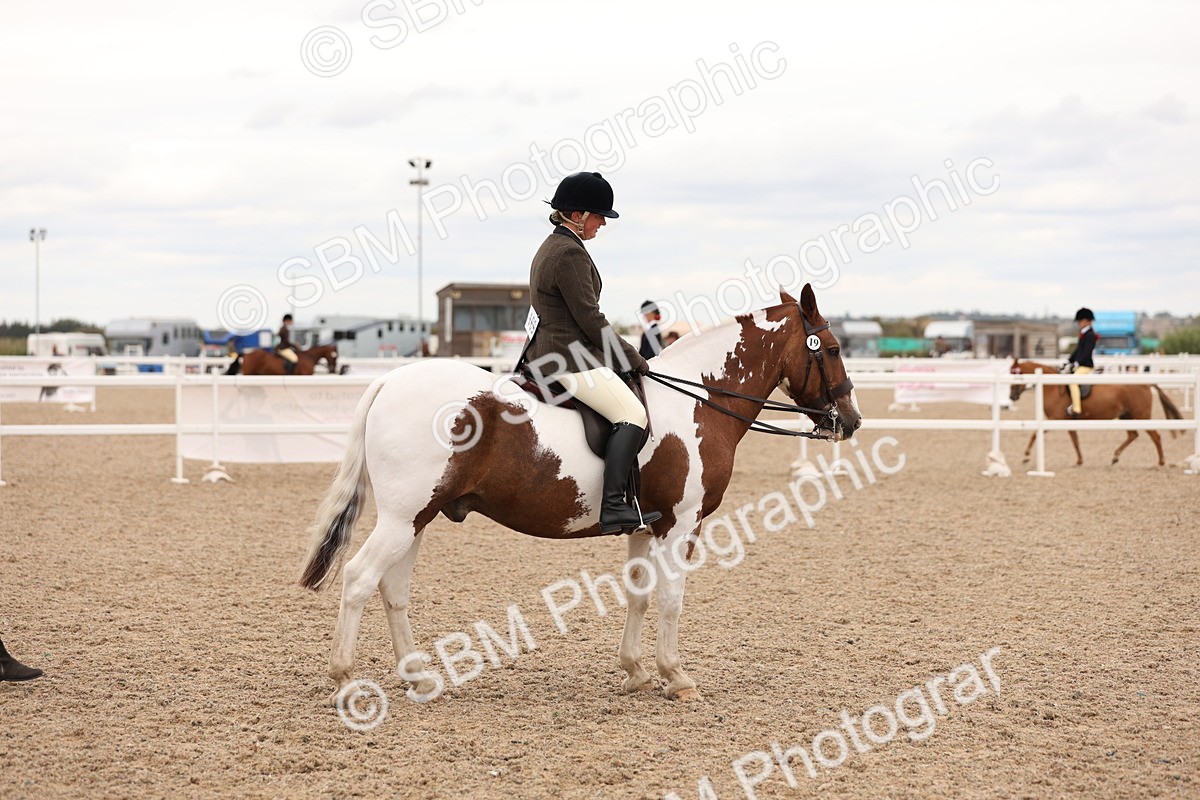 SBM_19577 - Class 215 - Ridden Show cob