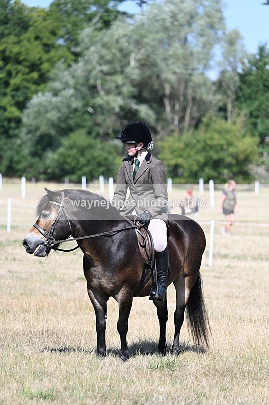 WJ7_4114 - Class 9 Mountain & Moorland Ridden