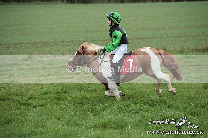 SHETPR 210425 223 - Shetland Ponies Paxford Races 21/04/25