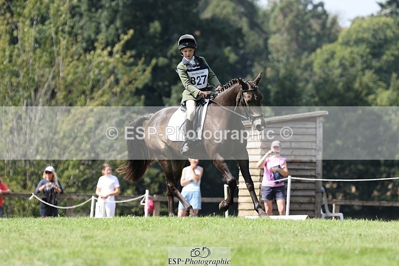 250823A-135004-31382 - Arena D