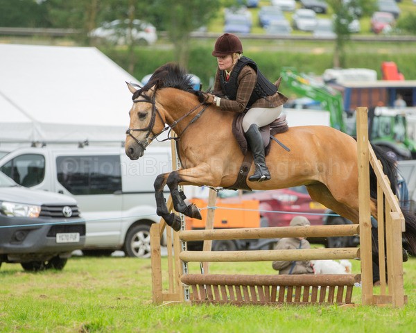 Dunblane show-527 - Dunblane and Doune Show Ring 1