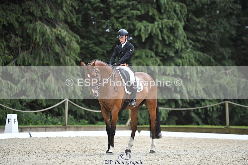 230525-141050-03105 - 318-JUST_HAVE_FAITH_TN-Alfie_Marshall-WEDTrotUp+DR