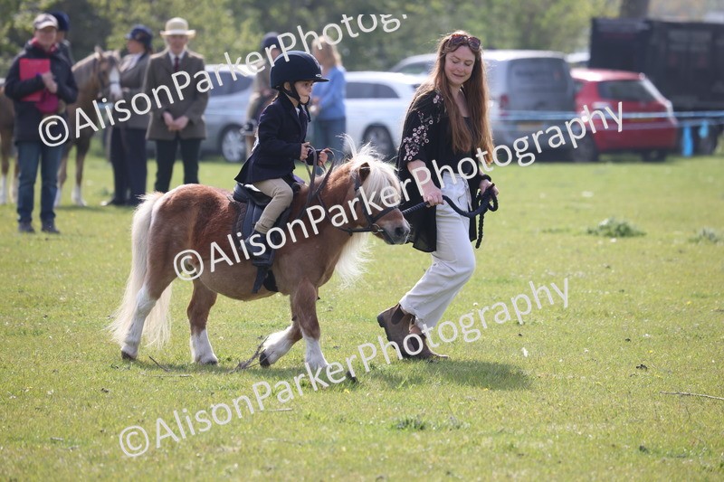 20260426-0383 - Class 30 - Tiny Tots Lead Rein