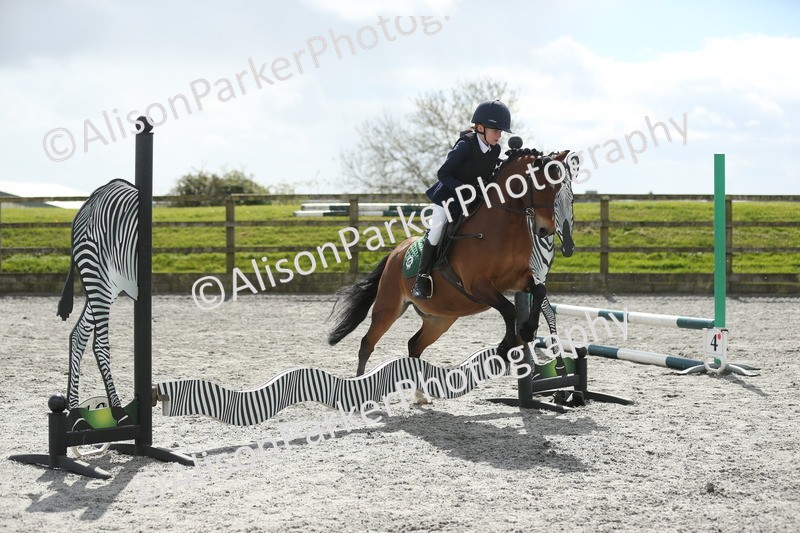 20260412-0762 - Show Jumping