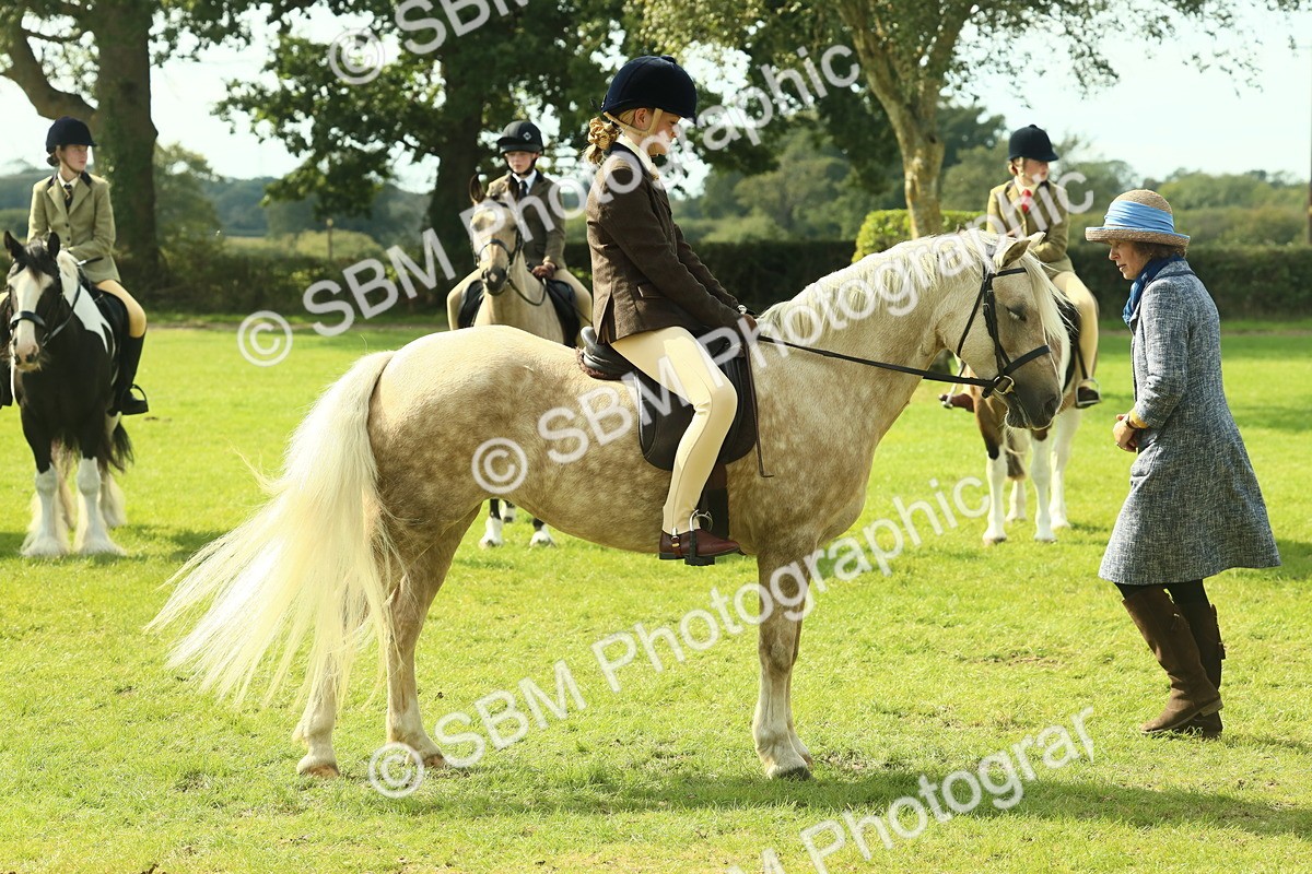 SBM_68826 - S58 - Mini Show Cob Ridden