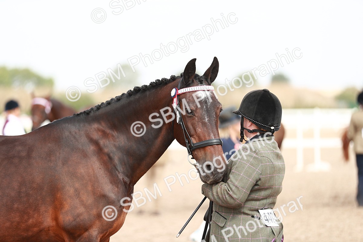 SBM_13292 - Class 208 IH Veteran Horse