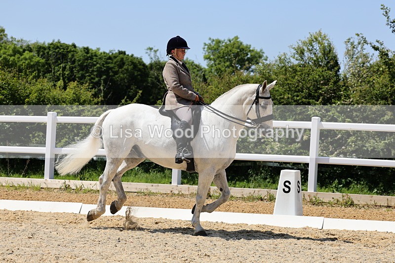 1X9A1731 - Class 11: Ridden Cob