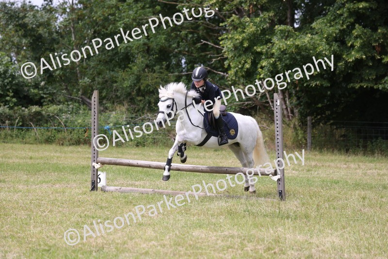 20260614-4100 - Class 24 - Mini and Major Pairs Jumping