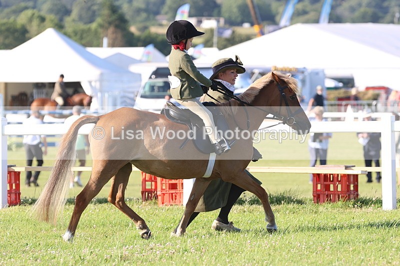 JPP_0701 - Class 16: Cornish Combination Leading Rein