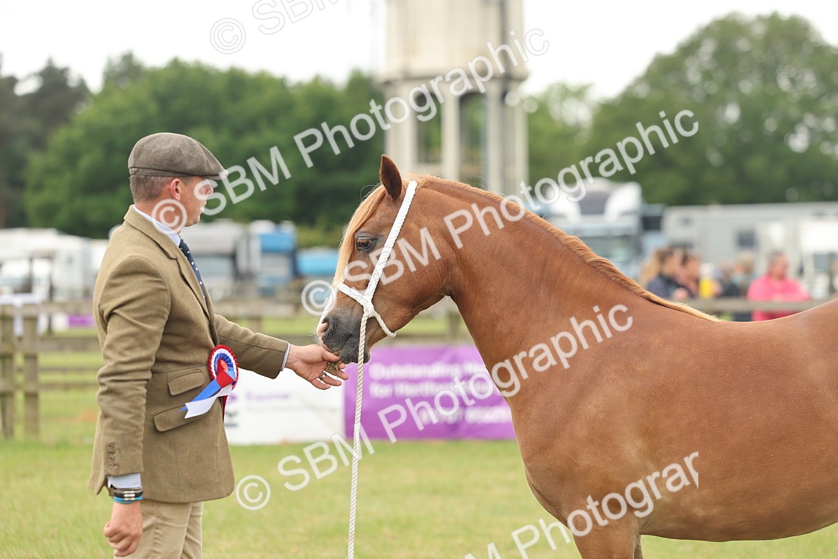 SBM_02446 - Class 50-57 - M&M Welsh Pony In Hand