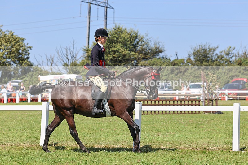 IMG_2133 - Plaited Ridden Championship