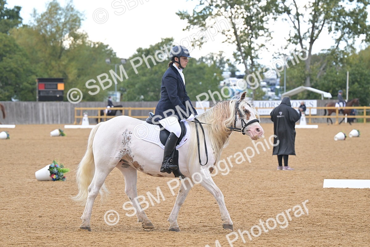 SBM_11199 - D3 - Small Tour Championship Intro 3