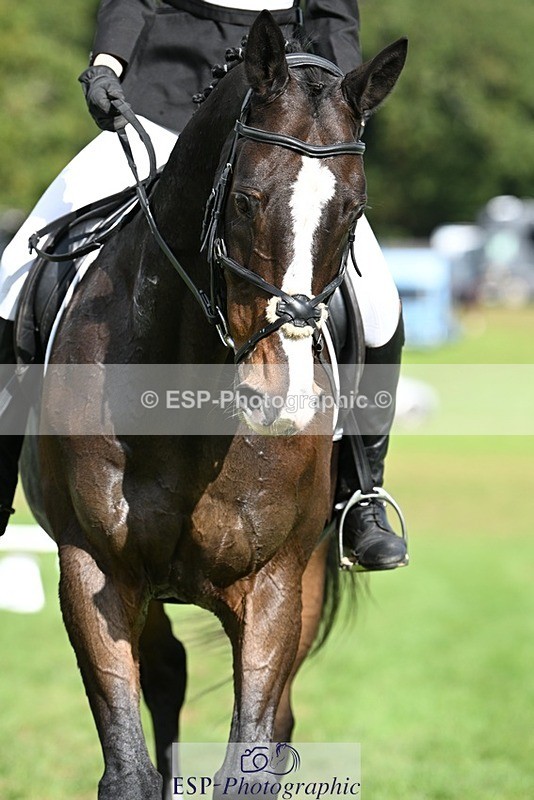 231020-123910-08154 - 489-MY.GALWAY.MAN-Daisy.Hood-DR