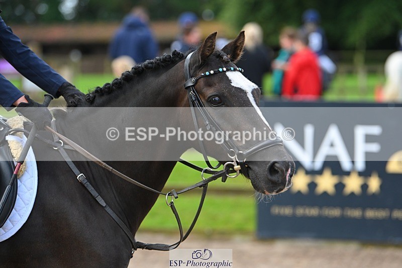 230824-090025-01037 - Round 1 Start to 10.50 coursewalk