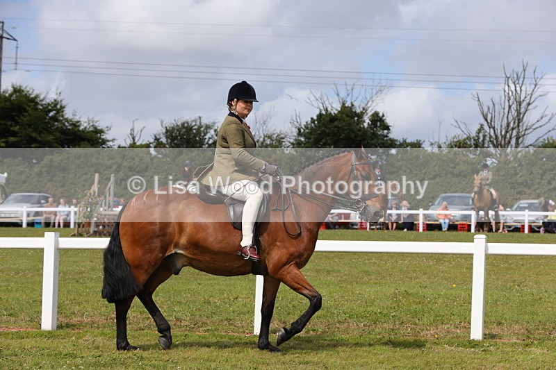 1X9A3976 - Class 32: Show Hunter Pony 153cm and under