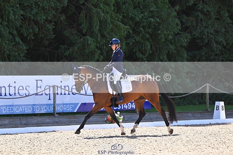 240809-111300-00529 - 133-Dawn.Bear-First.Taylor.Made