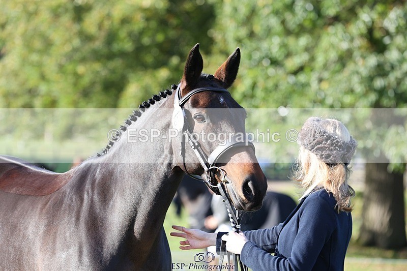 241027-094633-15497 - 316-Abi.Stuart-DUKES.VISION