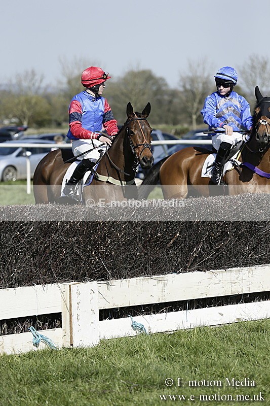 PtP 260317 159 - Mendip Farmers Point-to-Point Ston Easton 26/03/17