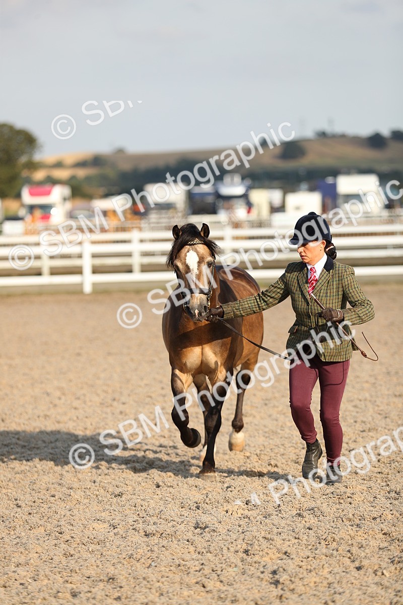 SBM_08949 - Class 29 IH Veteran Pony