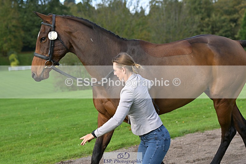 241023-131512-00156 - 009-Louisa.Lockwood-GRANTSTOWN.AMADEUS