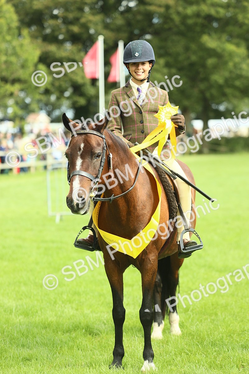 SBM_44814 - S31 - Working Hunter Pony