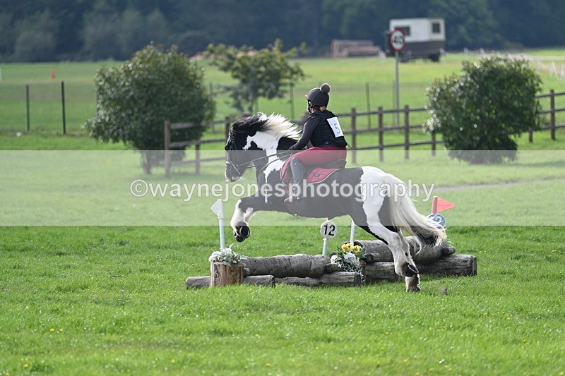 WJ7_3766 - 40cm Time 10:26 to 10:42