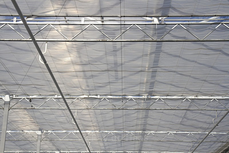 IMG_4530 1 - Manmade lines