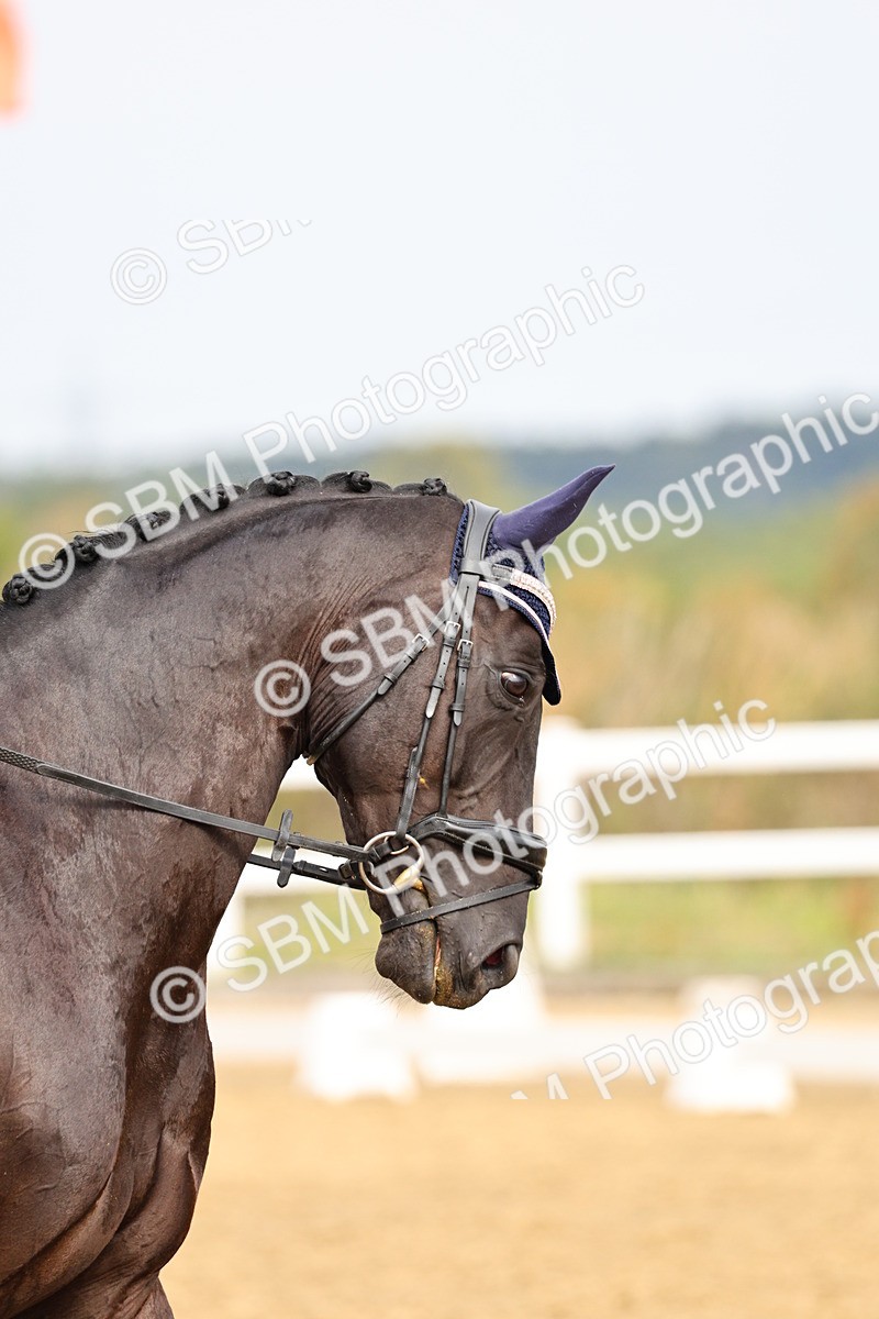 SBM_012189 - Class 2 - Prelim 5