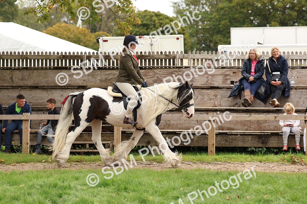 SBM_64433 - S58 - Coloured Pony Ridden