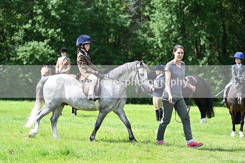 WJ7_1501 - Class 11 Condition & Turnout
