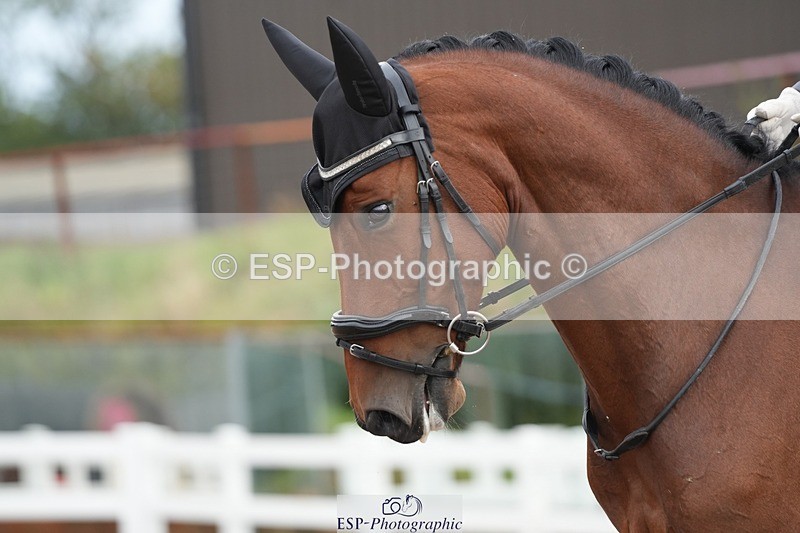 250907-110144-05957 - 040-Rianne.FultonSunset.Mojito