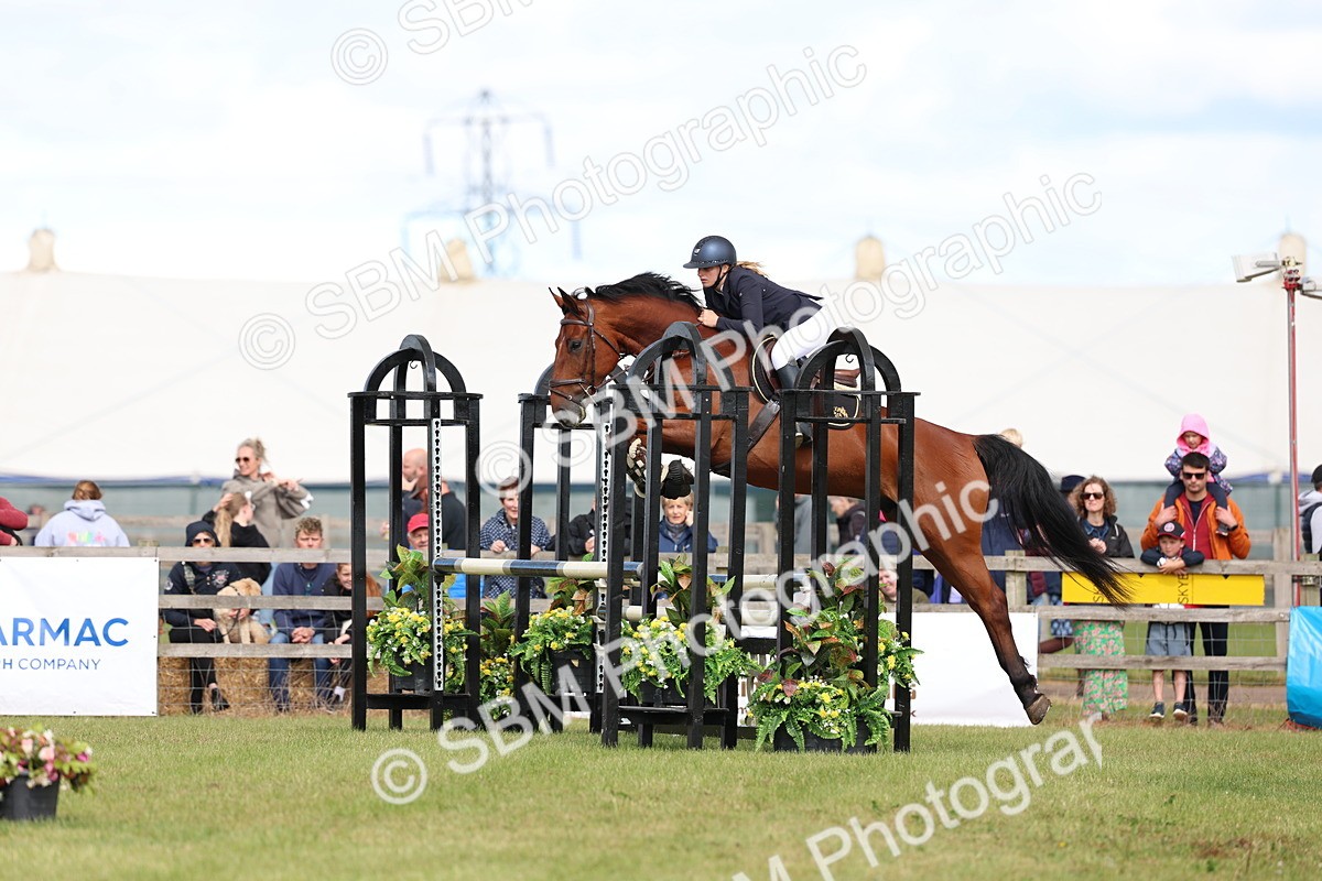 SBM_13448 - Class 206 - Senior Newcomers - 1.10m Open