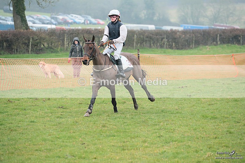 PtP 100324 367 - Pytchley with Woodland Point-to-Point Guilsborough 10/03/24