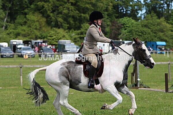 IMG_3249 - Working Hunter