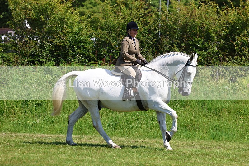3E7A8298 - Class 13: Ridden Hunter