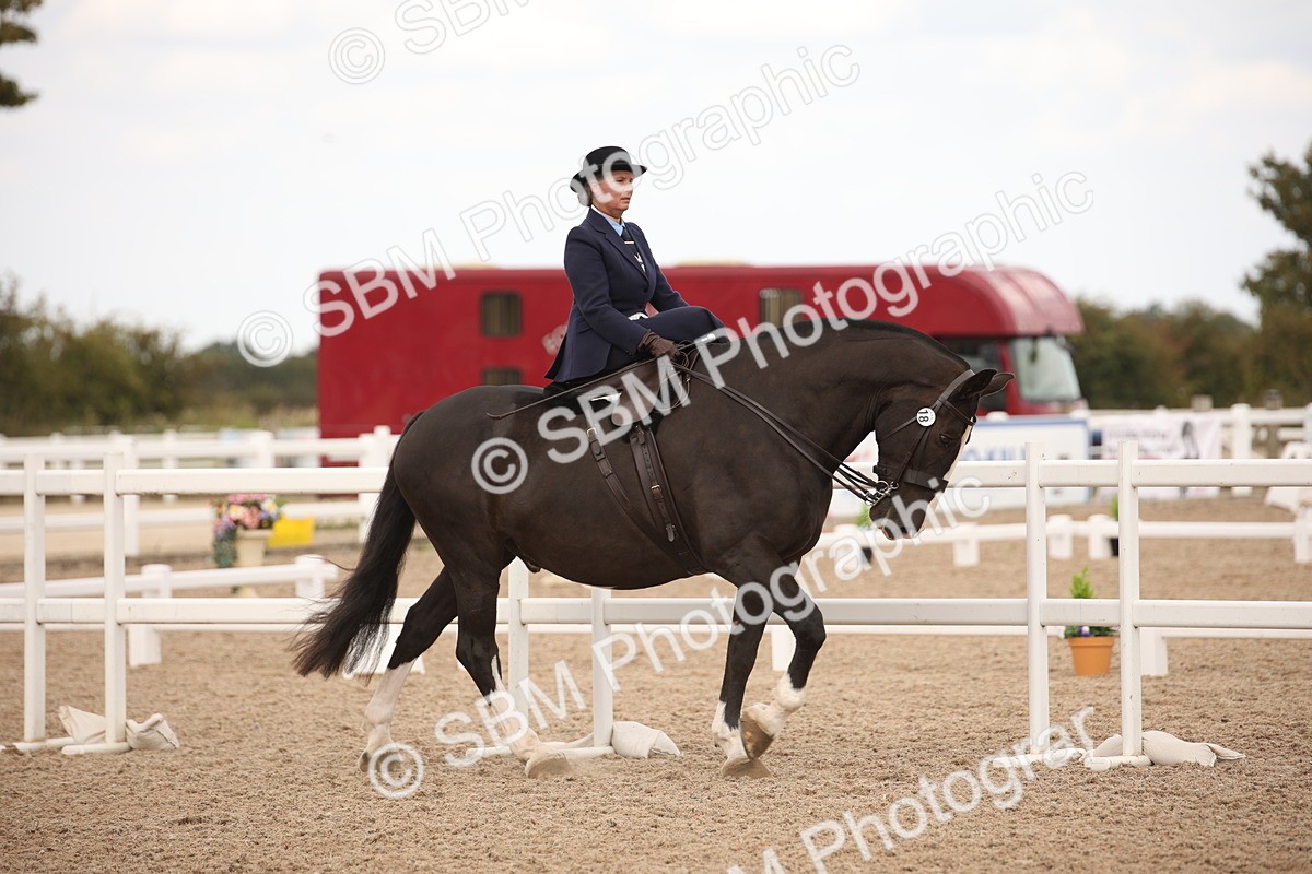 SBM_05302 - Class 22 SSA Equitation