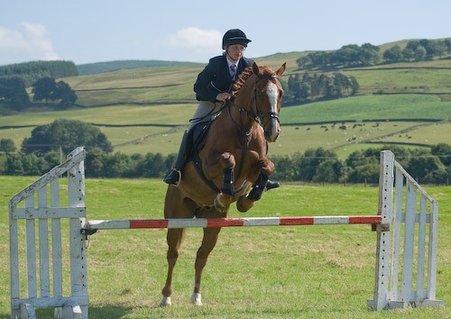 112 - Moniaive Horse Show 2008