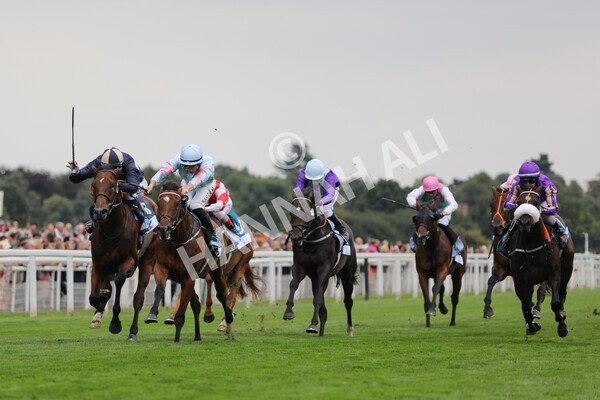 yr18082022r6-29 - Race 6 4.45 pm OR8wellness ebfstallions Nursery Handicap