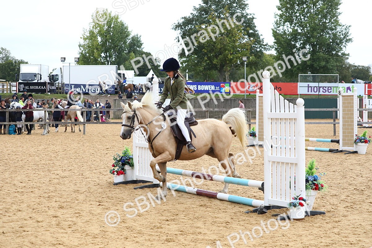 SBM_68094 - J3b - Mini Tour Junior Pony 40cm Championship