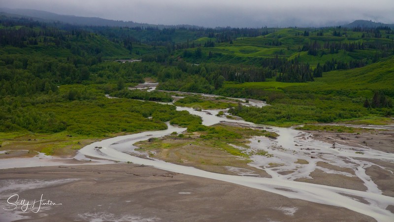 Alaskan Coast in Summer