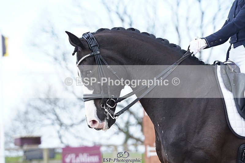 250403-101602-00711 - 016-Sarah.Millis-Le.Zorro.BH