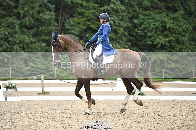 240720-160204-06343 - 142-Amberley_Pugsley-Hero_A