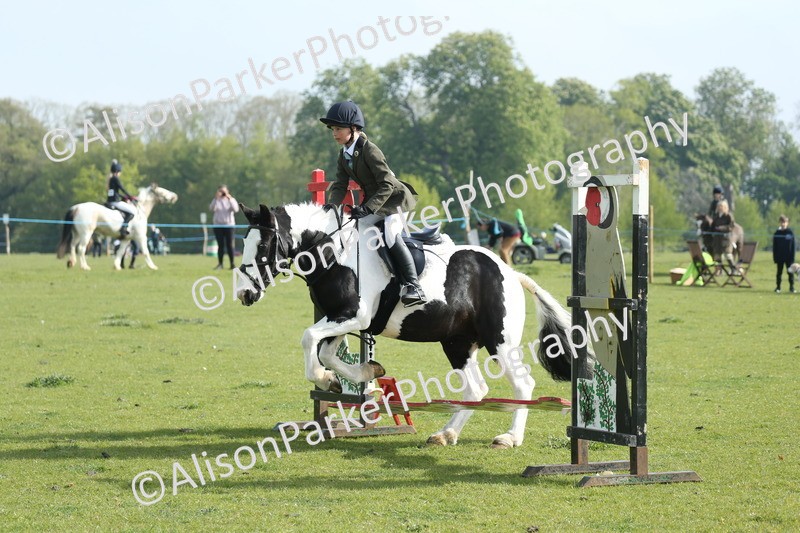 20260426-0024 - Class 13 - Rookie Jumping 50cm
